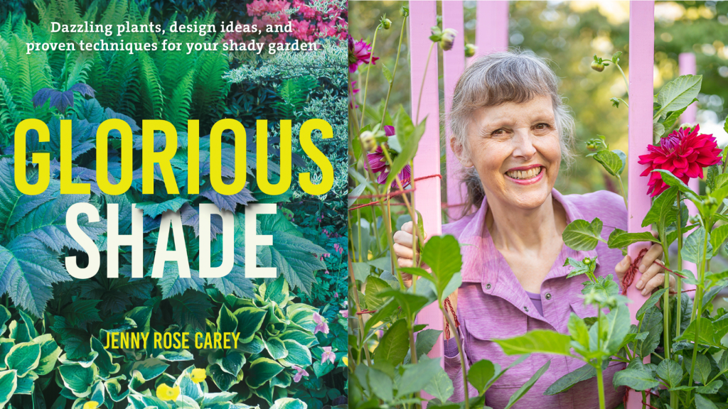 Jenny Rose Carey and her book Glorious Shade