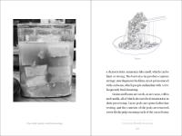 Fermentation