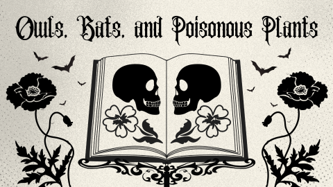 Owls, Bats, and Poisonous Plants